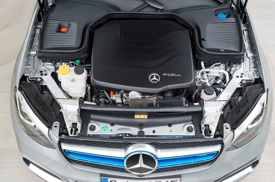 glc f cell