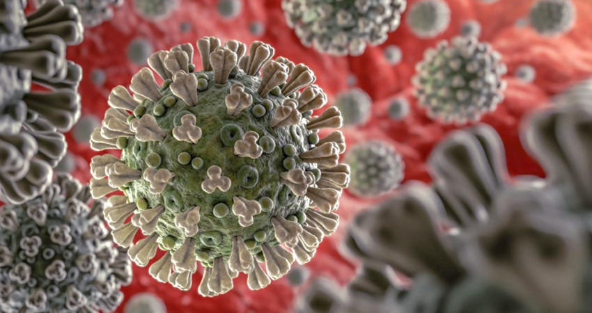 bacilul koch coronavirus proteina spike